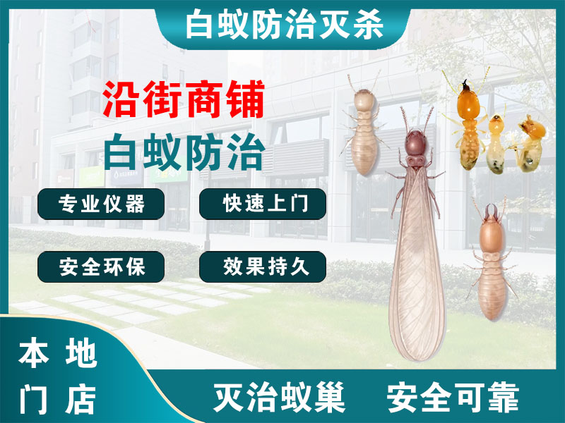 瓯海沿街商铺白蚁防治