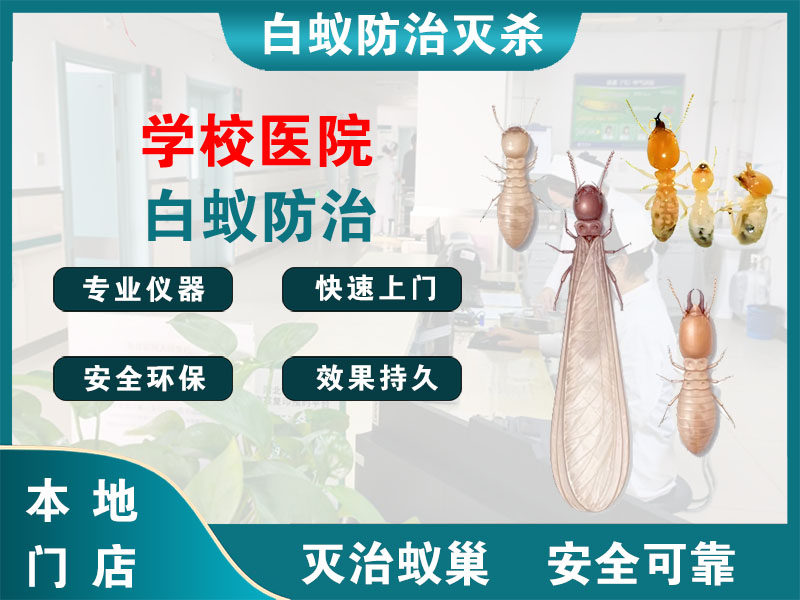 瓯海学校医院白蚁防治