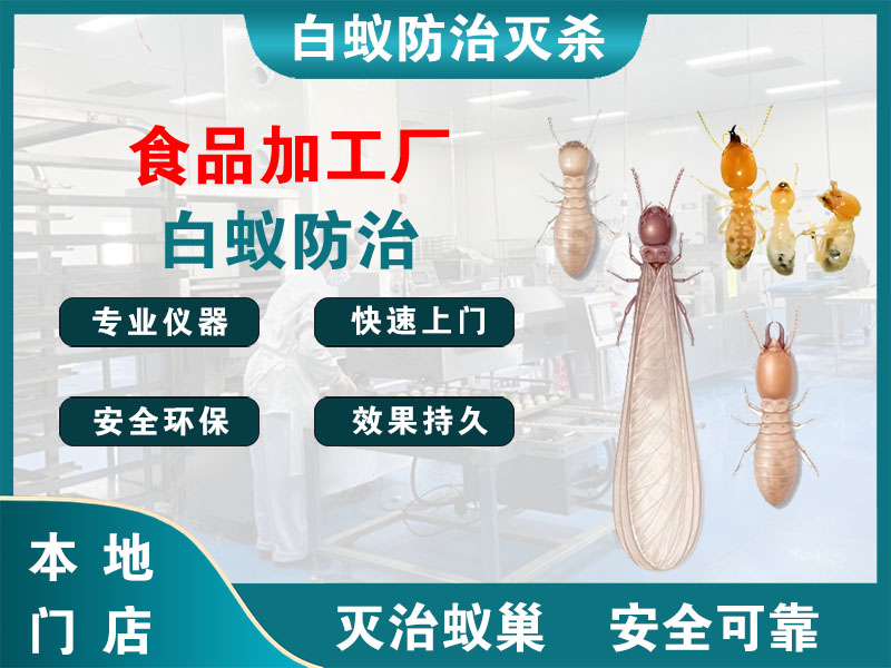 瓯海食品加工厂白蚁防治