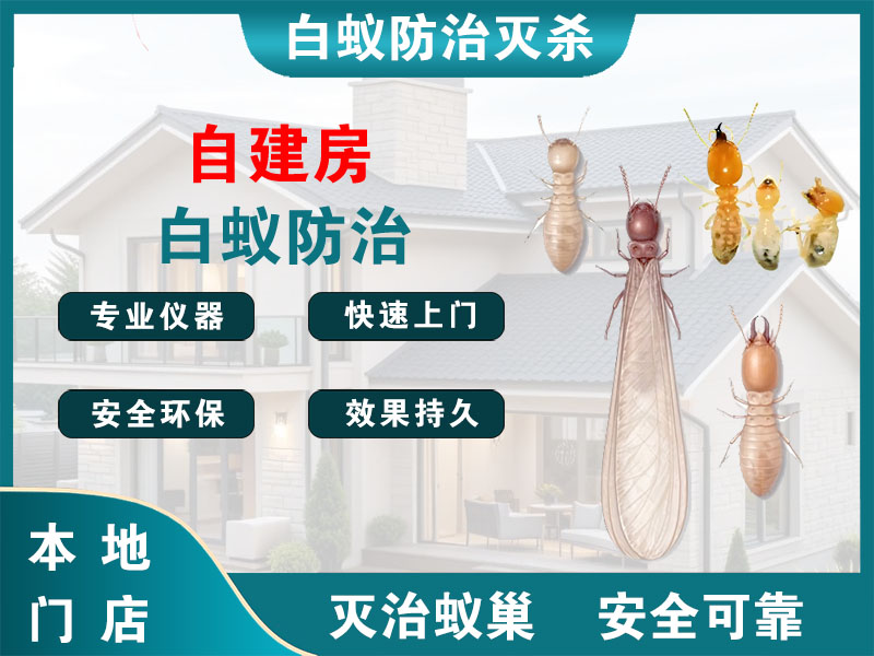瓯海自建房白蚁防治