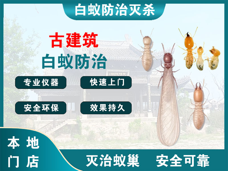 瓯海古建筑白蚁防治