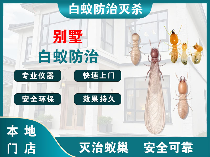 瓯海别墅白蚁防治